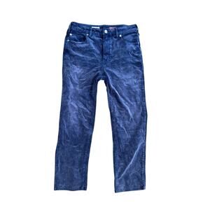 Anthropologie Pilcro 29 NWT The Vintage Straight Corduroy Pants Jeans Blue Cords